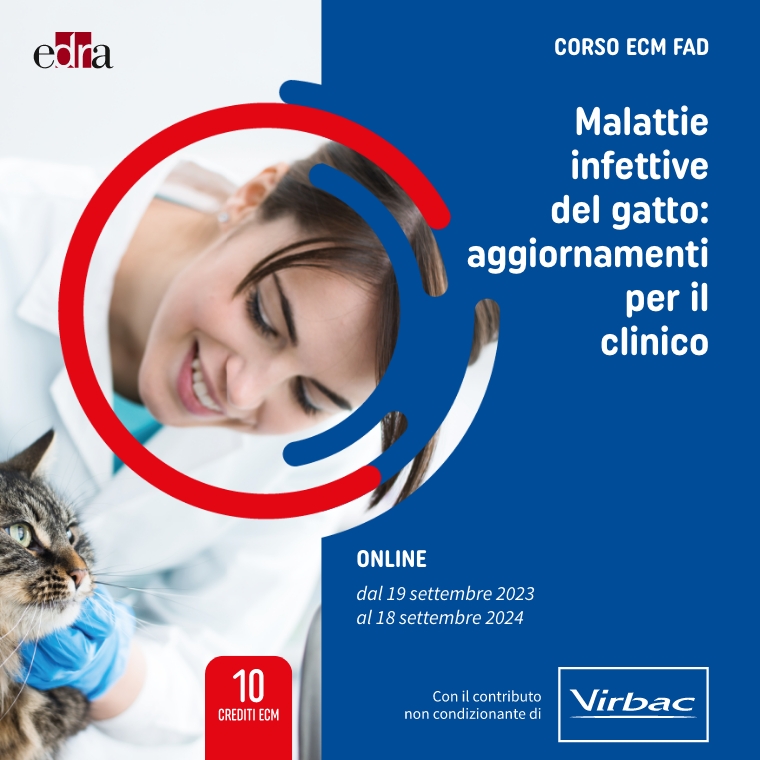 Malattie infettive del gatto: aggiornamenti per il clinico